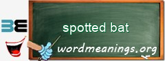 WordMeaning blackboard for spotted bat